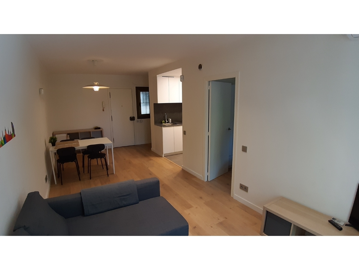 Oriol Pujol Mata, arquitecte. Reforma integral habitatge carrer Santa Margarida de Barcelona