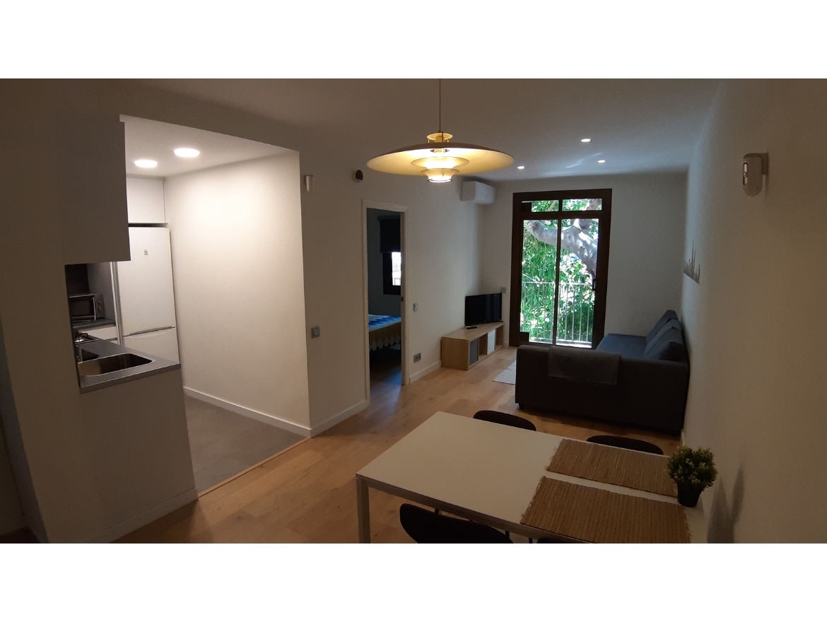 Oriol Pujol Mata, arquitecte. Reforma integral habitatge carrer Santa Margarida de Barcelona